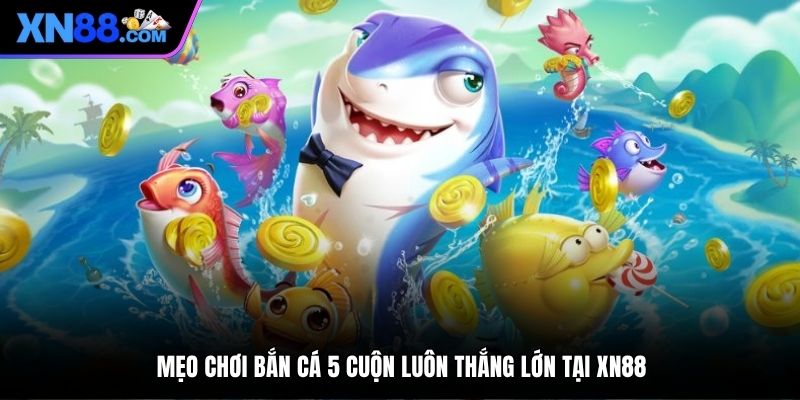 mẹo chơi bắn cá 5 cuộn