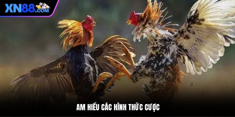 Am hiểu các hình thức cược