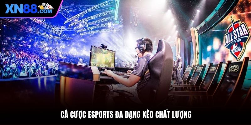 Kèo khủng cung cấp mang tới lựa chọn cược chất lượng