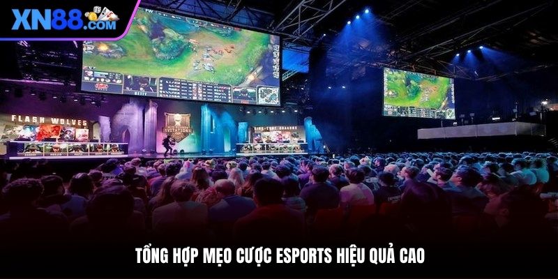 Cập nhật mẹo cược Esports để áp dụng hiệu quả cao
