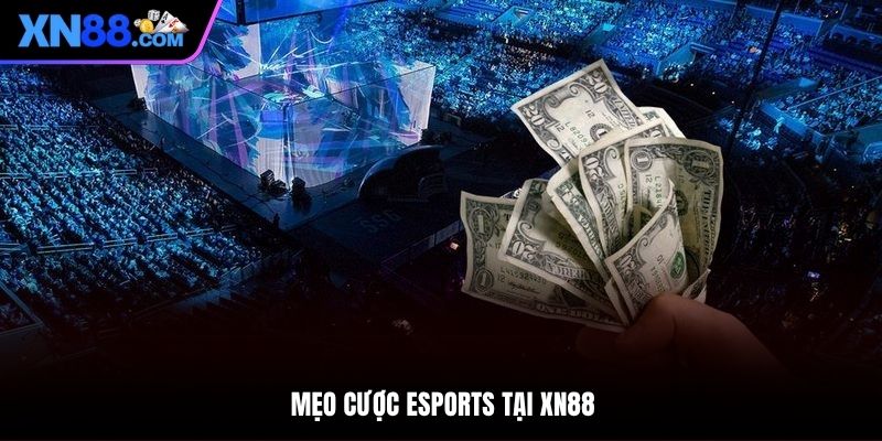 Mẹo cược Esports