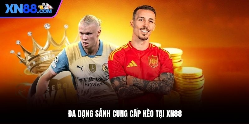 Trải nghiệm cùng nhiều sảnh uy tín tại thể thao XN88